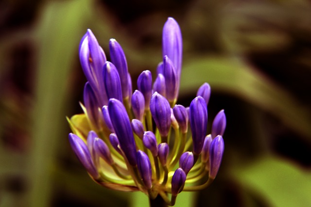 业内专家分 业内专家分