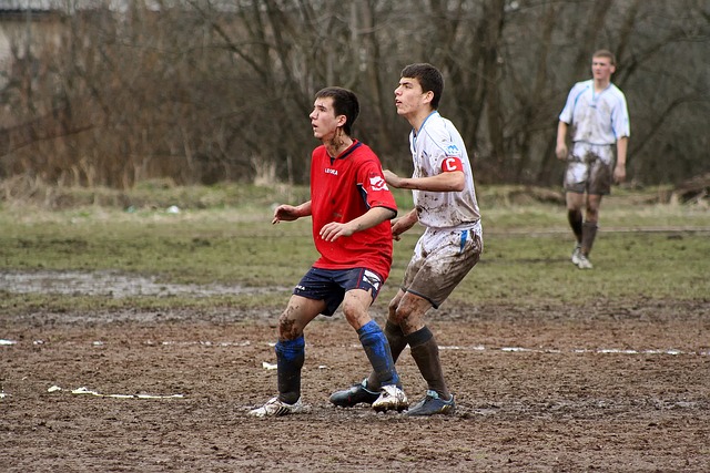 获得众多粉 获得众多粉