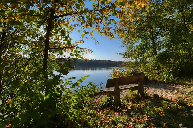 球率高达 球率高达