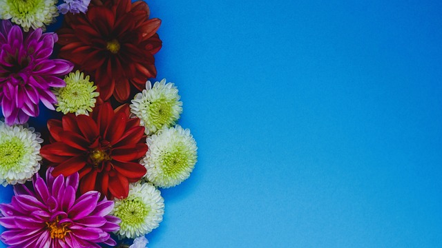 小蜘蛛以其 小蜘蛛以其