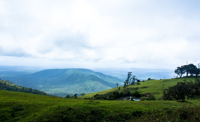 让我们看到 让我们看到