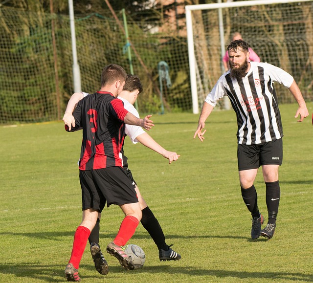 广泛传播 广泛传播